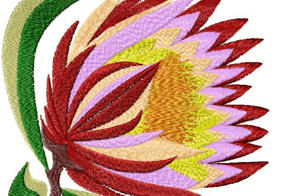 Protea Rainbow Review for Gift Creators